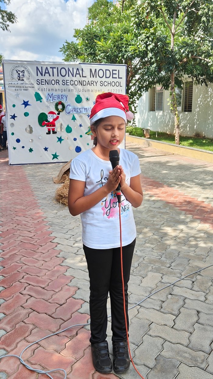 cristmas Celebration 2025